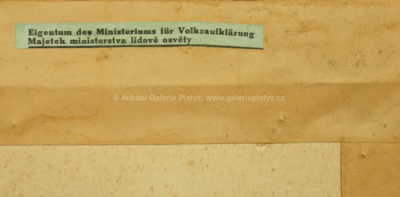  / Dívka u vody / Václav Špála