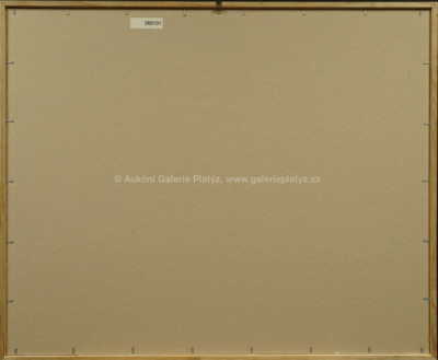  / Závody na řece / Kamil Kubík