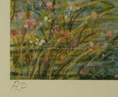  / Závody na řece / Kamil Kubík