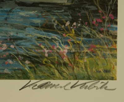  / Závody na řece / Kamil Kubík