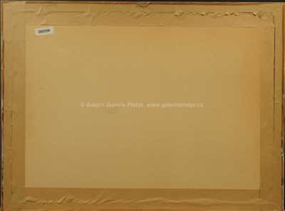  / Krajina / Josef Jíra