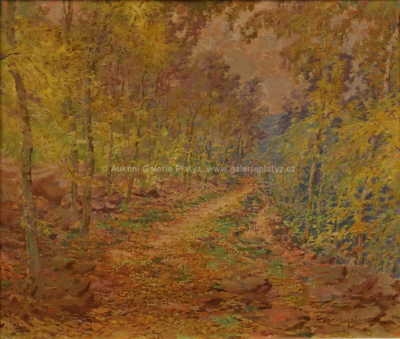  / Cesta lesem / František Myslivec