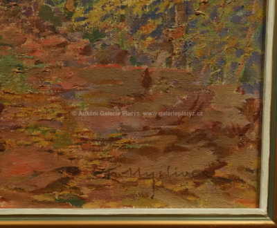  / Cesta lesem / František Myslivec