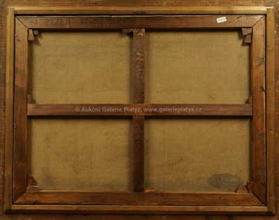  / Plzeň / František Emler