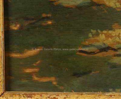  / Na kraji lesa / Jaroslav Panuška