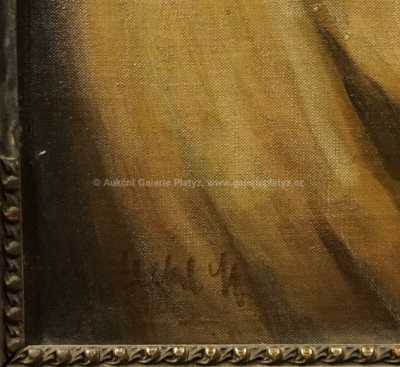  / Dívčí akt / Stanislav Feikl