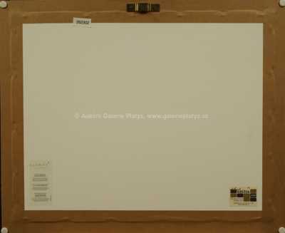  / Rychlé šípy a Bratrstvo kočičí pracky / Marko Čermák