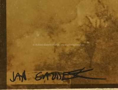  / Just Another Virgine / Jan Saudek