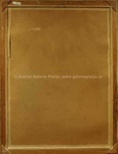  / Na koncertě / Miroslav Malina