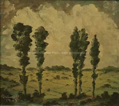  / Pohled do kraje / František Drtikol