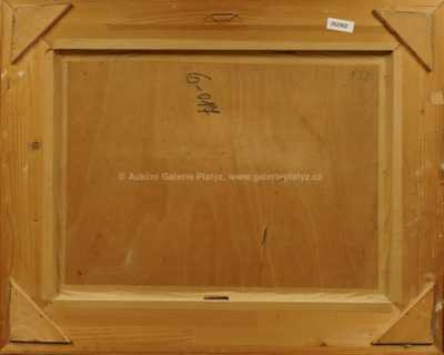  / Slunce v lese / František Drtikol