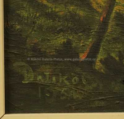  / Slunce v lese / František Drtikol