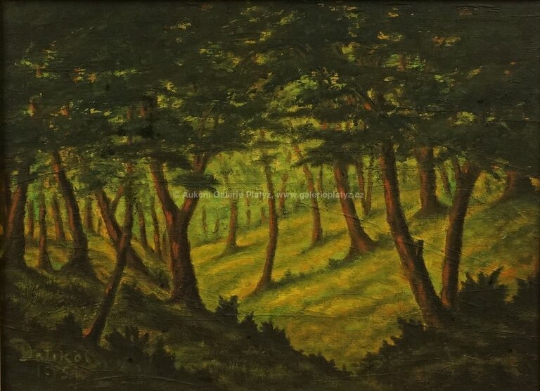  / Slunce v lese / František Drtikol