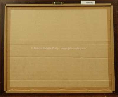  / Konvolut dvou kusů / Jiří Načeradský