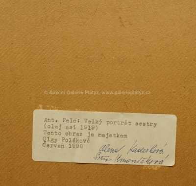  / Portrét sestry / Antonín Pelc