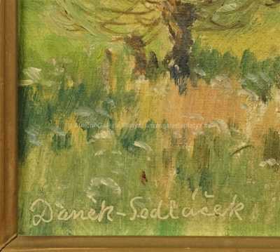  / Letní nálada v Orlických horách / František Daněk - Sedláček