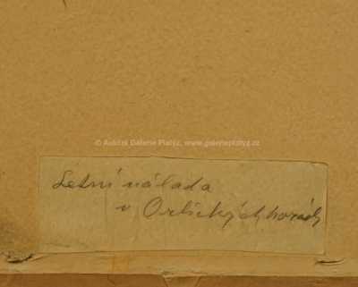  / Letní nálada v Orlických horách / František Daněk - Sedláček