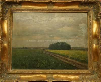 Josef Holub - Rozkvetlé pole