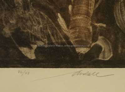  / Hlava / Jiří Anderle