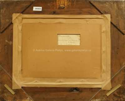  / Slunce v lese / Roman Havelka