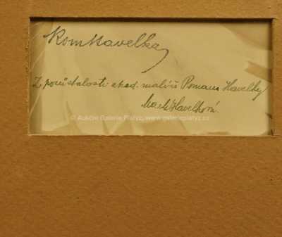  / Slunce v lese / Roman Havelka