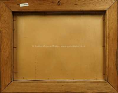  / Na sále / Josef Liesler