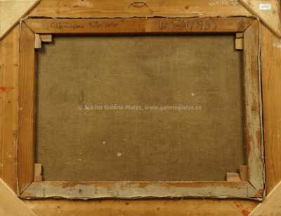  / Odčiňujeme Bílou Horu / Lev Šimák