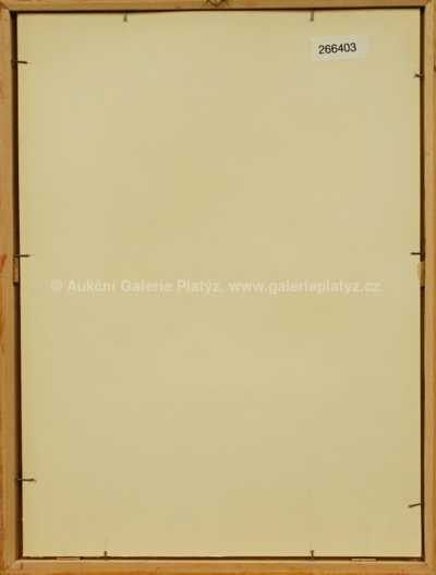  / Pražský hrad / František Tavík Šimon