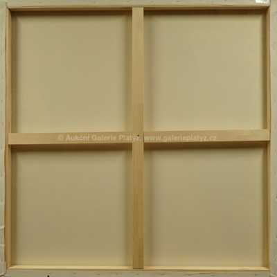  / Policie Action / Pasta  Oner