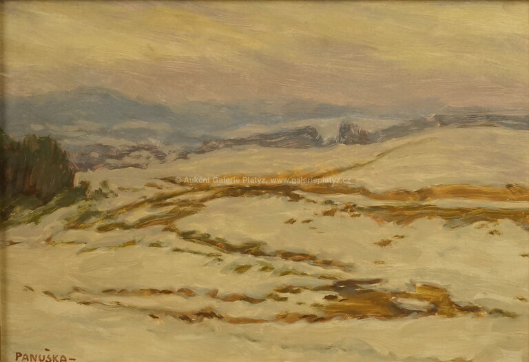  / Předjaří / Jaroslav Panuška