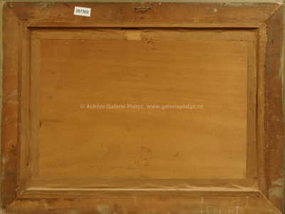  / Jihočeský rybník Pravěk / Jaroslav Panuška