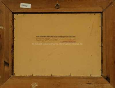  / Z Mladovožicka / Ota Bubeníček