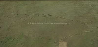  / Tři stromy / Vladimír Komárek