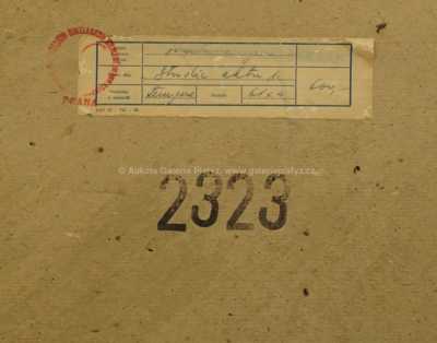  / Studie aktu / Jan  Smetana