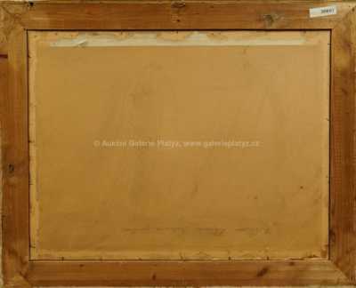  / Podvečer na Vysočině / Rudolf Linhart