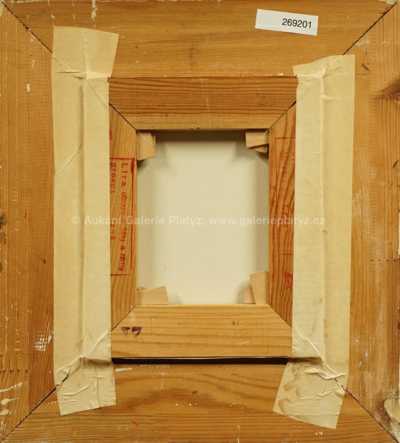  / V letu / Zdeněk Hajný