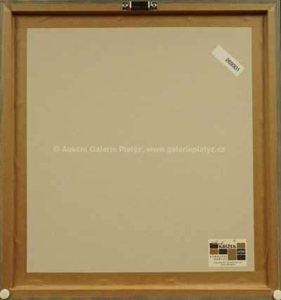  / Bez názvu / Jan Saudek