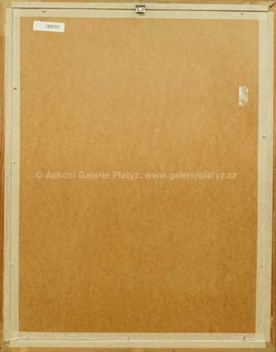  / Žena v zeleném / Jaroslav Kafka