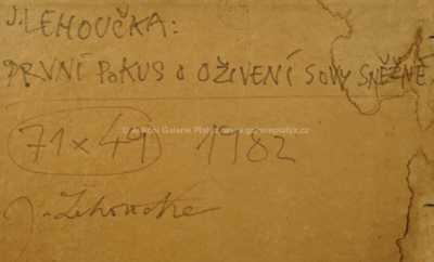  / První pokus o oživení sovy sněžné / Josef Lehoučka