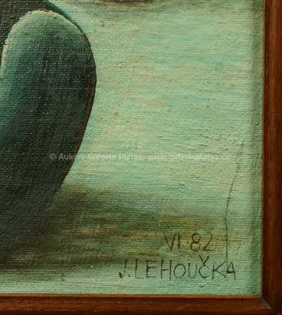  / První pokus o oživení sovy sněžné / Josef Lehoučka