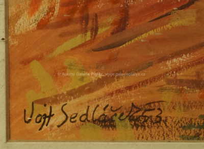  / Na poli / Vojtěch  Sedláček