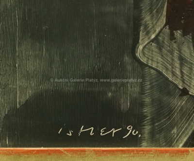  / Hlava v zeleném / Josef  Istler