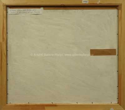  / Abstraktní hlava /  