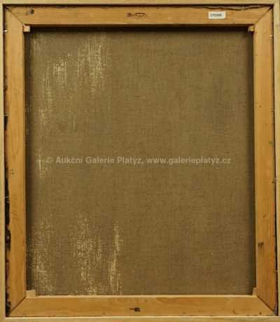  / Zamyšlení / František Ronovský