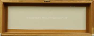  / Podvečer v Praze / Jiří Chadima