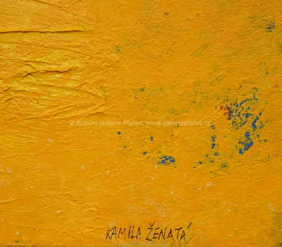  / Slunečný den / Kamila Ženatá