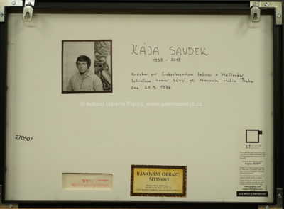  / Pergamenový svitek / Kája Saudek