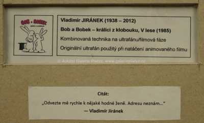  / Jen počkej, mi ti ukážem! / Vladimír Jiránek