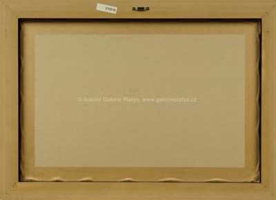  / Na polní cestě / Vojtěch  Sedláček