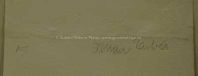  / Ruce s jablkem / Olbram Zoubek